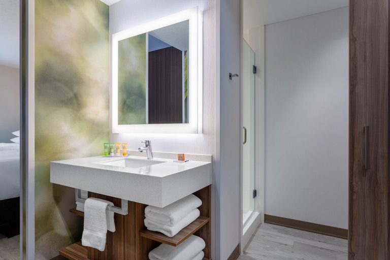 Bathroom 4, Wyndham Garden Orlando Universal / I Drive, Orange