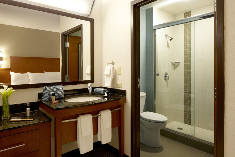 Bathroom 4, Hyatt Place Atlanta/Buckhead, Atlanta