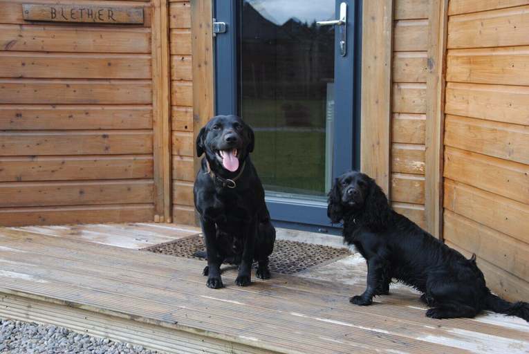 Exterior & Views 2, Delny Glamping, Highland