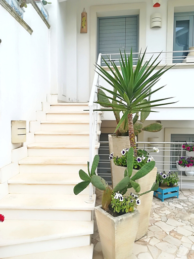 Exterior & Views 2, Le Terrazze, Lecce