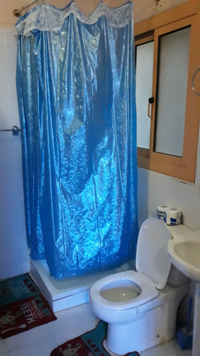 Bathroom 4, Al Gezera Apartments, Luxor