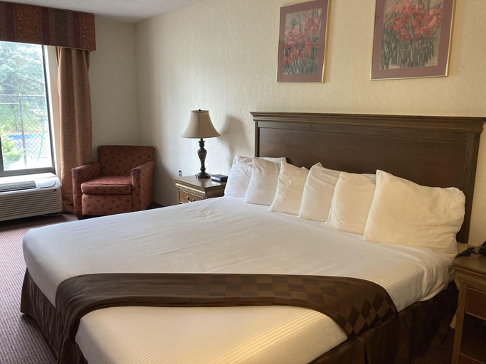 Bedroom 3, Americourt Hotel, Johnson
