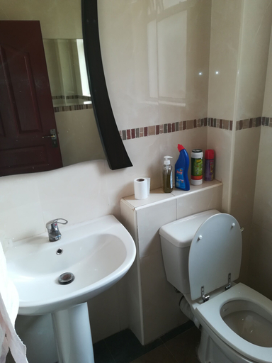 Bathroom 2, Nyayo homecourts, Embakasi East