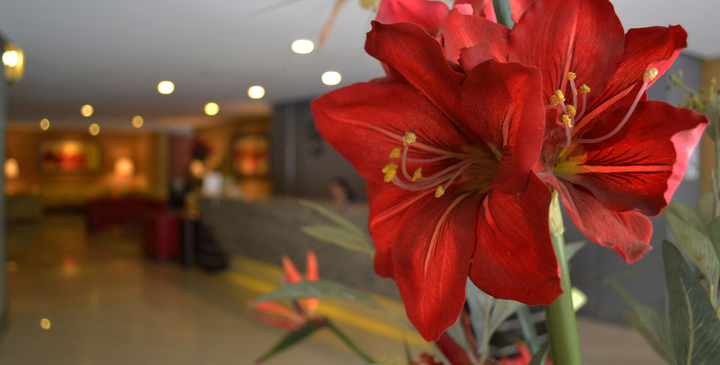Food & Drinks 5, Hotel Alborada, Concepción