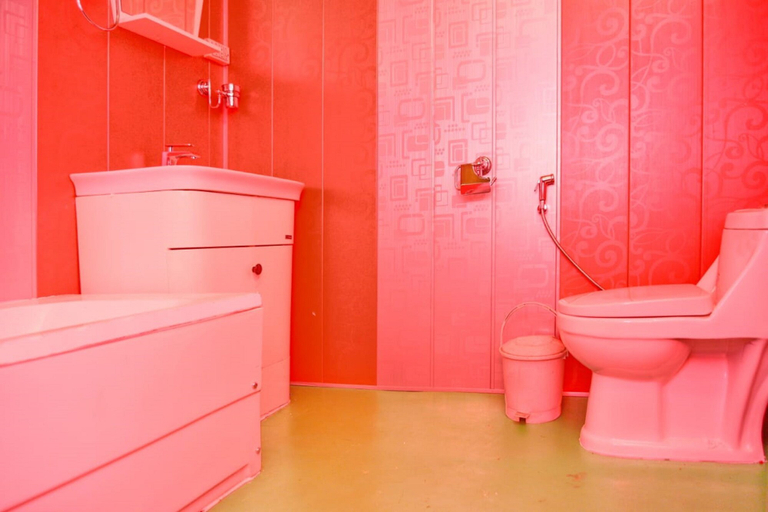 Bathroom 3, De-Laila Houseboats, Srinagar