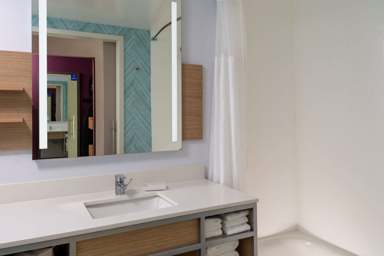 Bathroom 4, Hilton Garden Inn Ocala Downtown, Marion