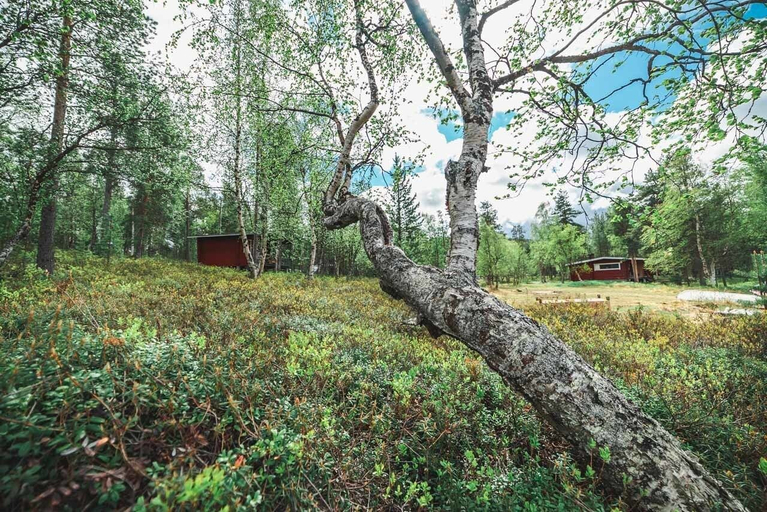 Others 4, Ukonjärven Holiday Village, Lapland