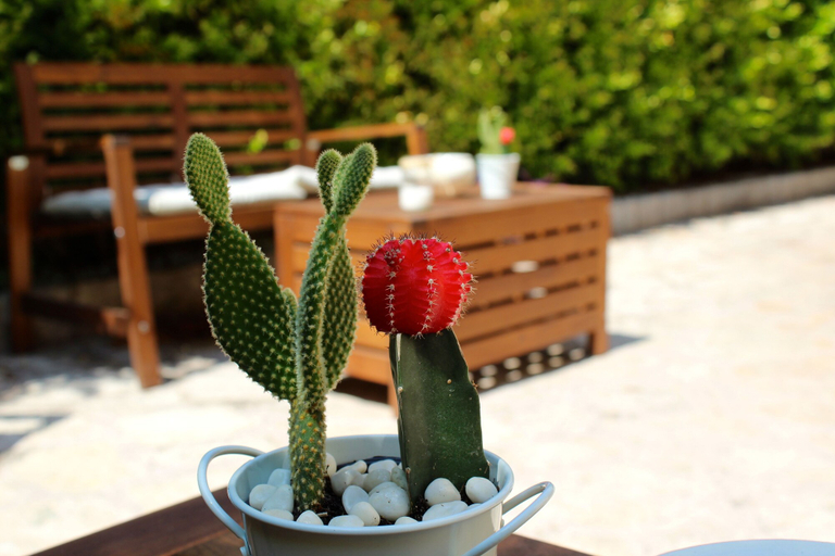 Food & Drinks 5, Bed & Breakfast AMATI, Brindisi