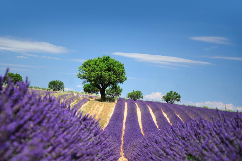 Others 5, Hotel Bel'Alp Manosque, Alpes-de-Haute-Provence
