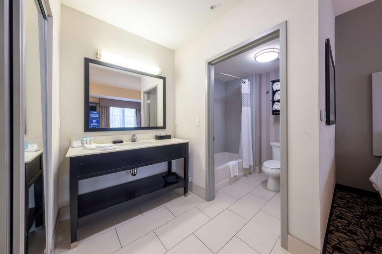 Bathroom 4, Hampton Inn & Suites DuPont, Pierce