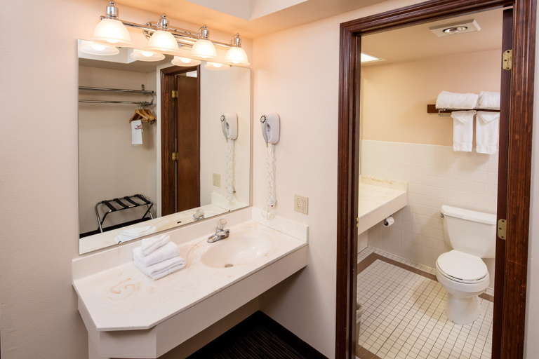 Bathroom 4, Chestnut Mountain Resort, Jo Daviess