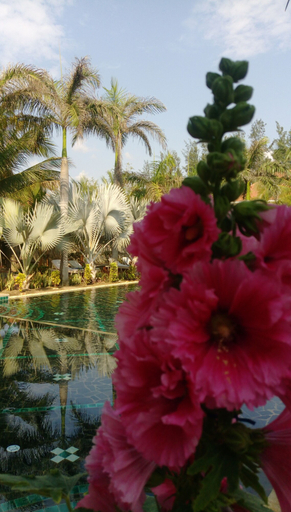 Sport & Beauty 2, Full Moon Village, Phan Thiết