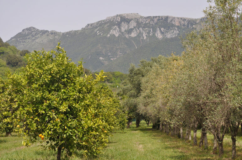 Others 5, I Cedri, Cosenza