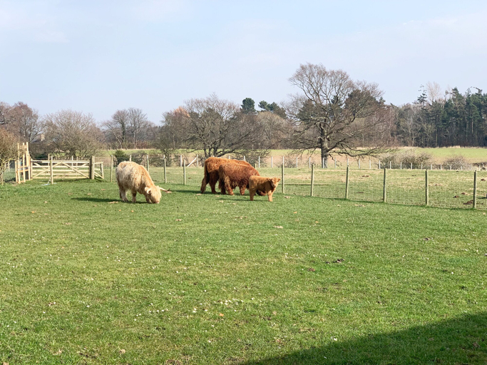 Others 5, Orchard House Lodges, East Lothian