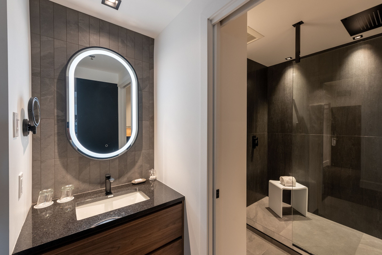 Bathroom 4, Hôtel des Coutellier, Communauté-Urbaine-de-Québec