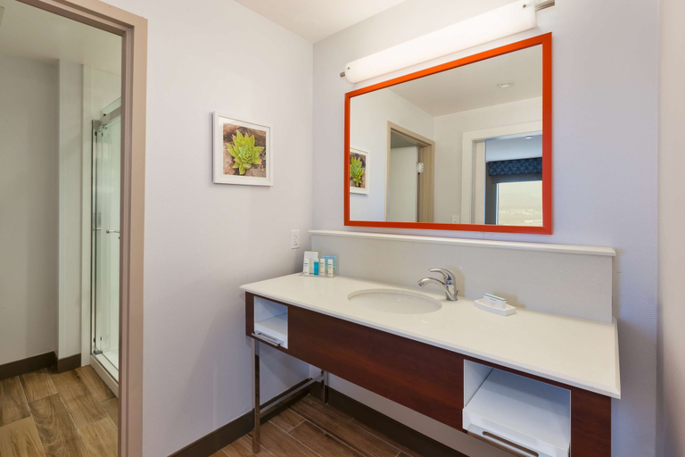 Bathroom 4, Hampton Inn & Suites Wells, Elko
