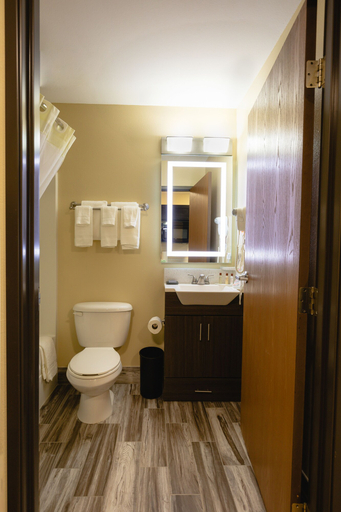 Bathroom 5, Hawthorn Extended Stay by Wyndham Saint Robert, Pulaski