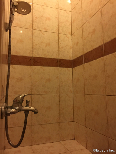 Bathroom 3, Dao Diamond Hotel, Tagbilaran City