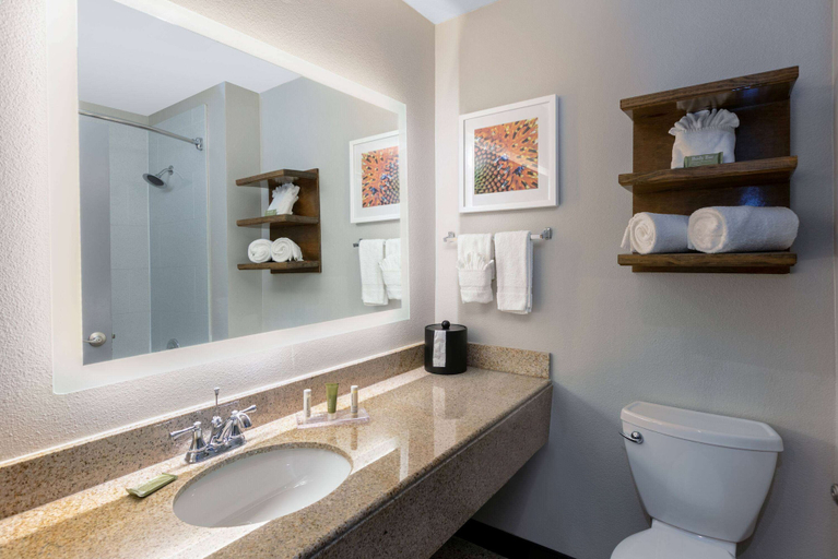 Bathroom 4, Wingate by Wyndham DFW / North Irving, Irving