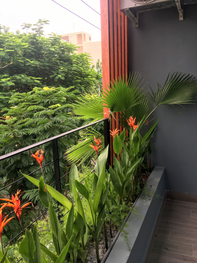 Others 5, Olga Apartment Danang Vietnam, Da Nang