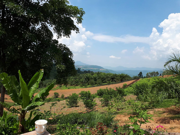 Others 5, Rai Nunnapas, Muang Phetchabun
