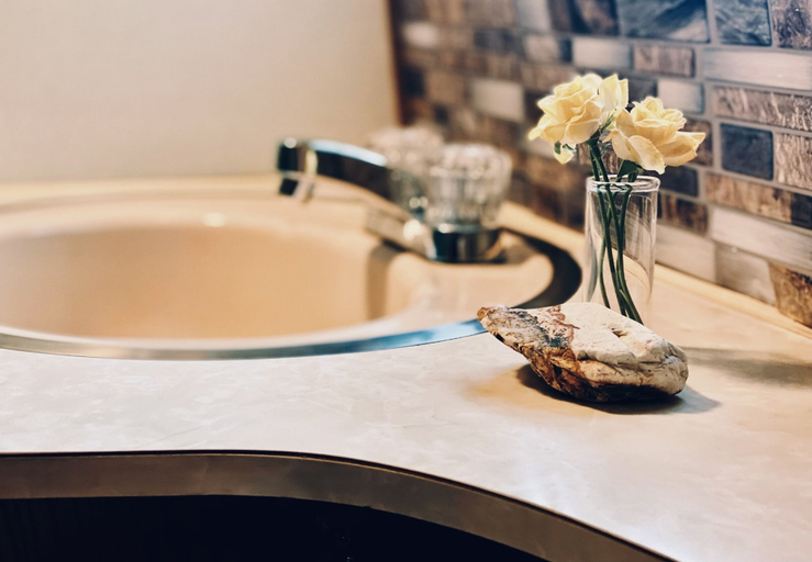 Bathroom 2, AGS Trailer House - Campground, Hakuba