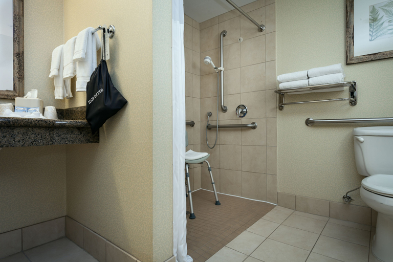 Bathroom 5, Hilton Garden Inn Seattle Issaquah, King