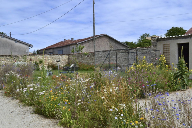 Exterior & Views 2, La Ferme Pateli, Meuse