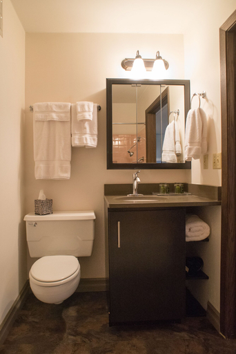 Bathroom 4, Erik's Retreat in Minnesota, Hennepin