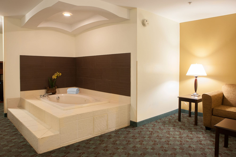 Bathroom 5, Holiday Inn Express & Suites CANTON by IHG, Wayne