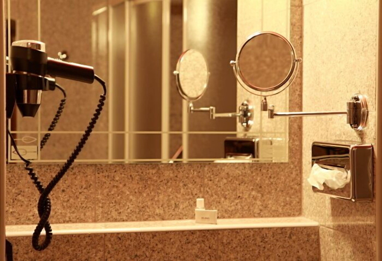 Bathroom 5, Hotel Zlaty Lev Zatec, Louny