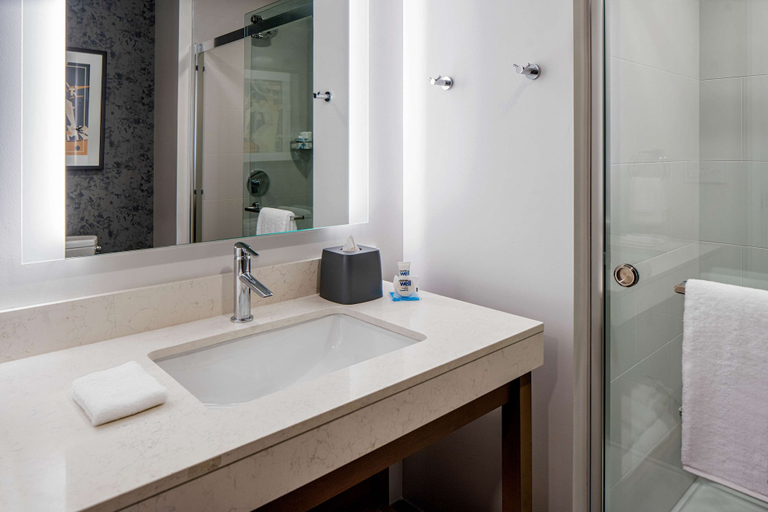 Bathroom 5, Hyatt House Tampa Downtown, Hillsborough