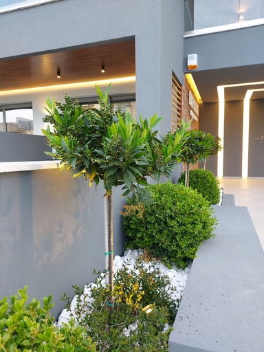 Exterior & Views 2, EUPHORIA ''staying in pleasure'', Central Macedonia