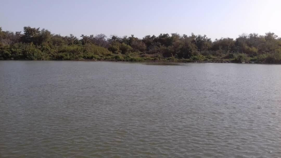 Others 5, Camping Sitaba Lodge, Janjanbureh
