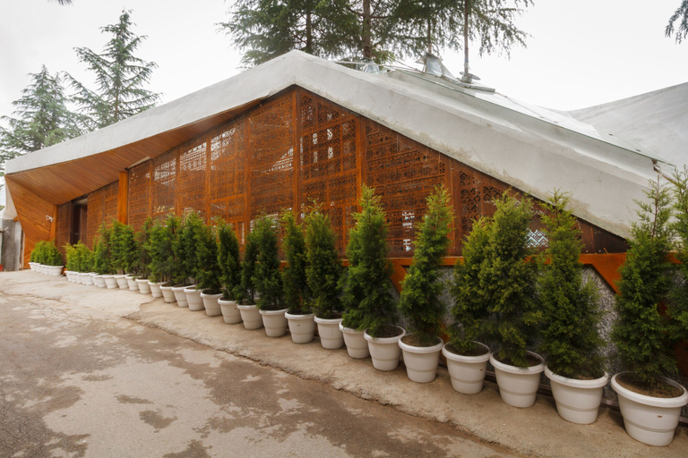 Exterior & Views 2, Tree of Life Eila Art Hotel, Kullu