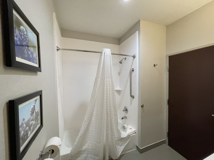 Bathroom 4, Comfort Inn & Suites Balch Springs - SE Dallas, Dallas