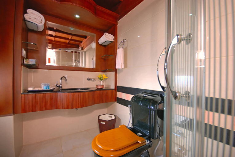 Bathroom 4, Sterling Luxury Houseboat, Alleppey, Alappuzha