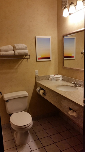 Bathroom 4, Days Inn & Suites by Wyndham Vancouver, Clark