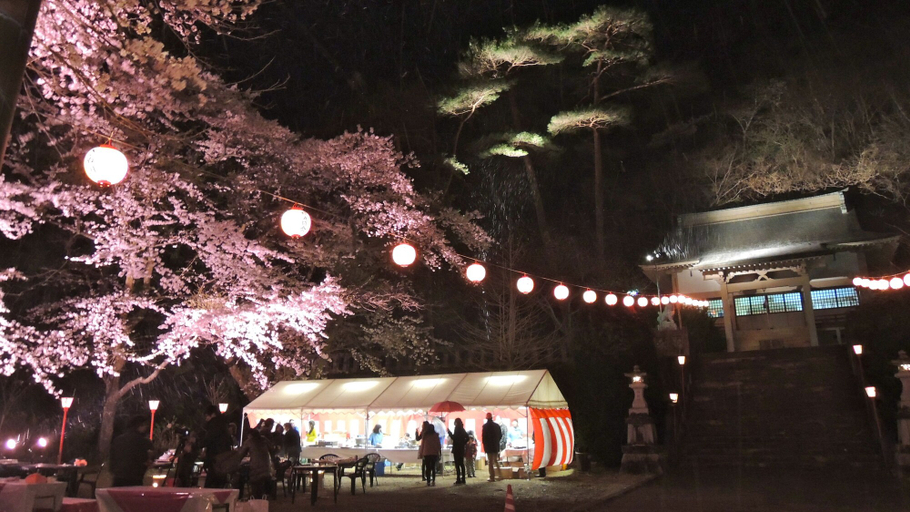 Exterior & Views 2, Issinkan, Nikkō