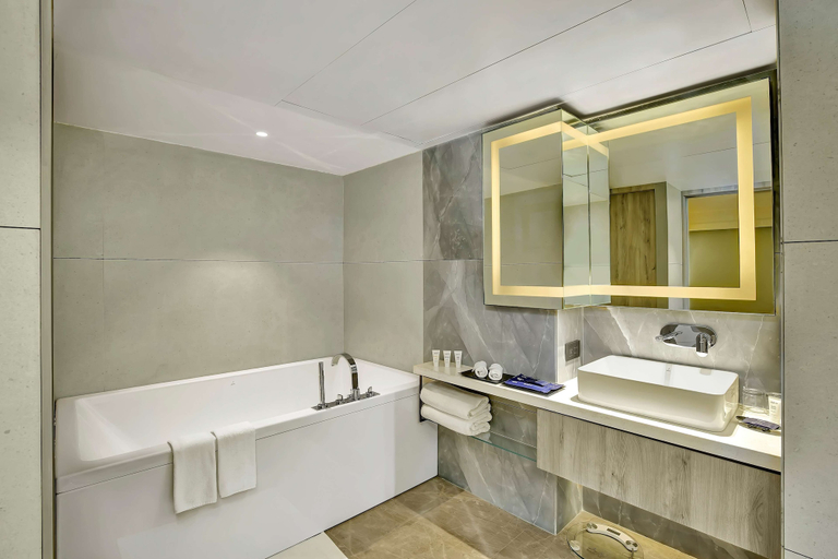 Bathroom 4, Park Inn by Radisson Surat, Surat