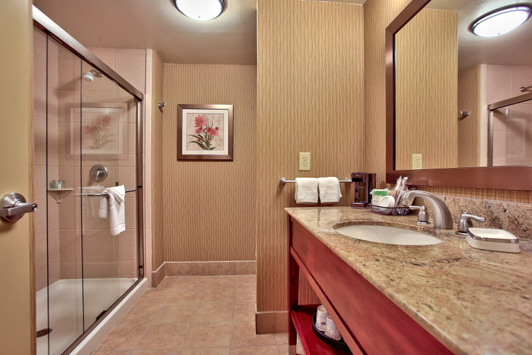 Bathroom 3, Hampton Inn & Suites Scottsdale at Talking Stick, Maricopa