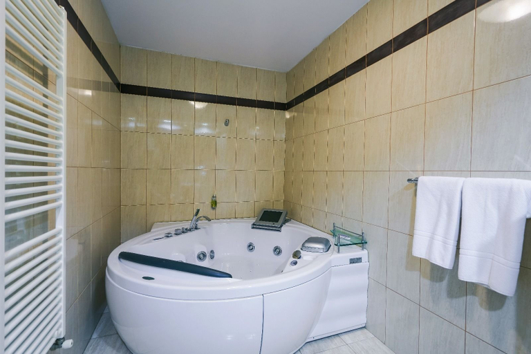Bathroom 5, Hotel & Restaurant Sofia, Sucevita