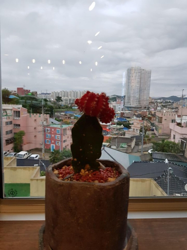 Others 5, Mokpo White Windmill Guesthouse, Muan