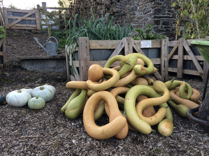 Food & Drinks, Frizenham Farmhouse B&B, Devon