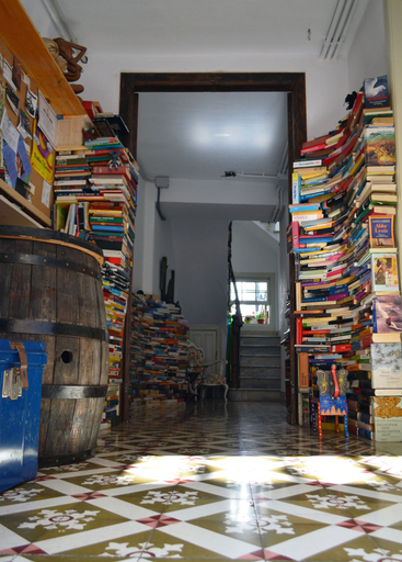 Others 5, Ratones de Biblioteca - Hostel, Santa Cruz de Tenerife
