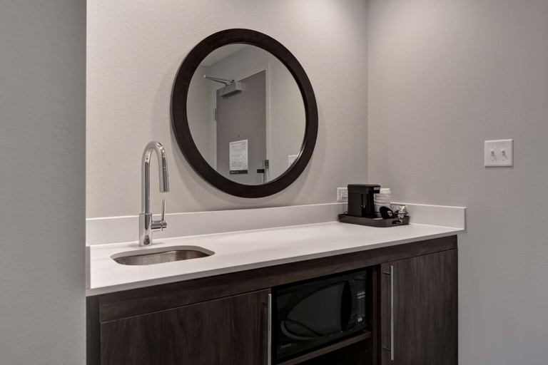 Bathroom 4, Hampton Inn & Suites Tampa Riverview Brandon, Hillsborough