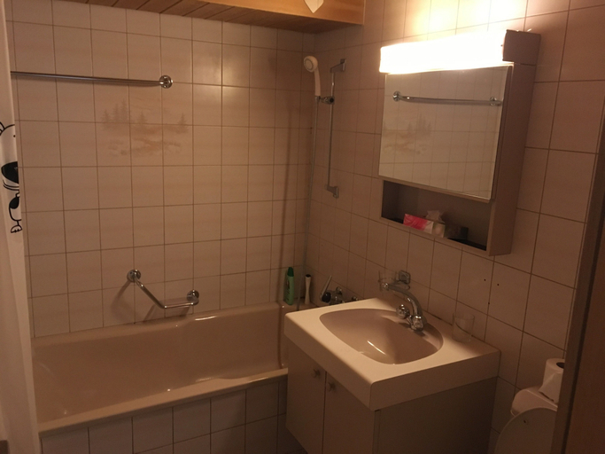 Bathroom 5, Historic Hotel Steinbock, Interlaken
