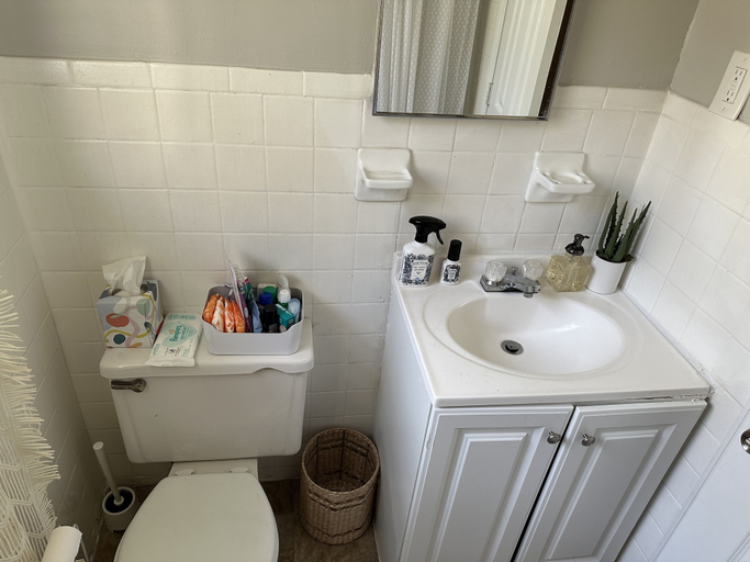 Bathroom 2, Atlanta on the Nile, Atlanta