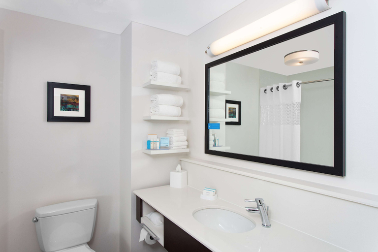 Bathroom 4, Hampton Inn & Suites Munster, Lake