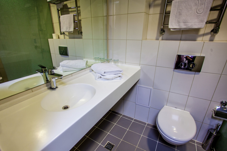 Bathroom 4, Hotel Overtime, Slantsevskiy rayon